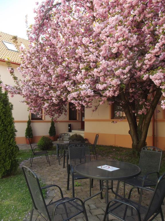 Hotel Pannon Panzió Mohács Exterior foto